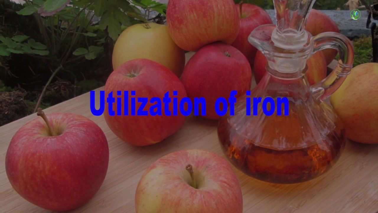 How to lose weight using simple fruit diet YouTube