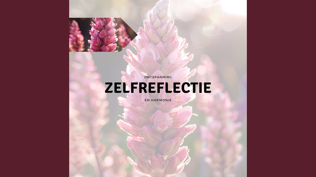 Watch Elixir van geluk on YouTube Watch Elixir van geluk on YouTube