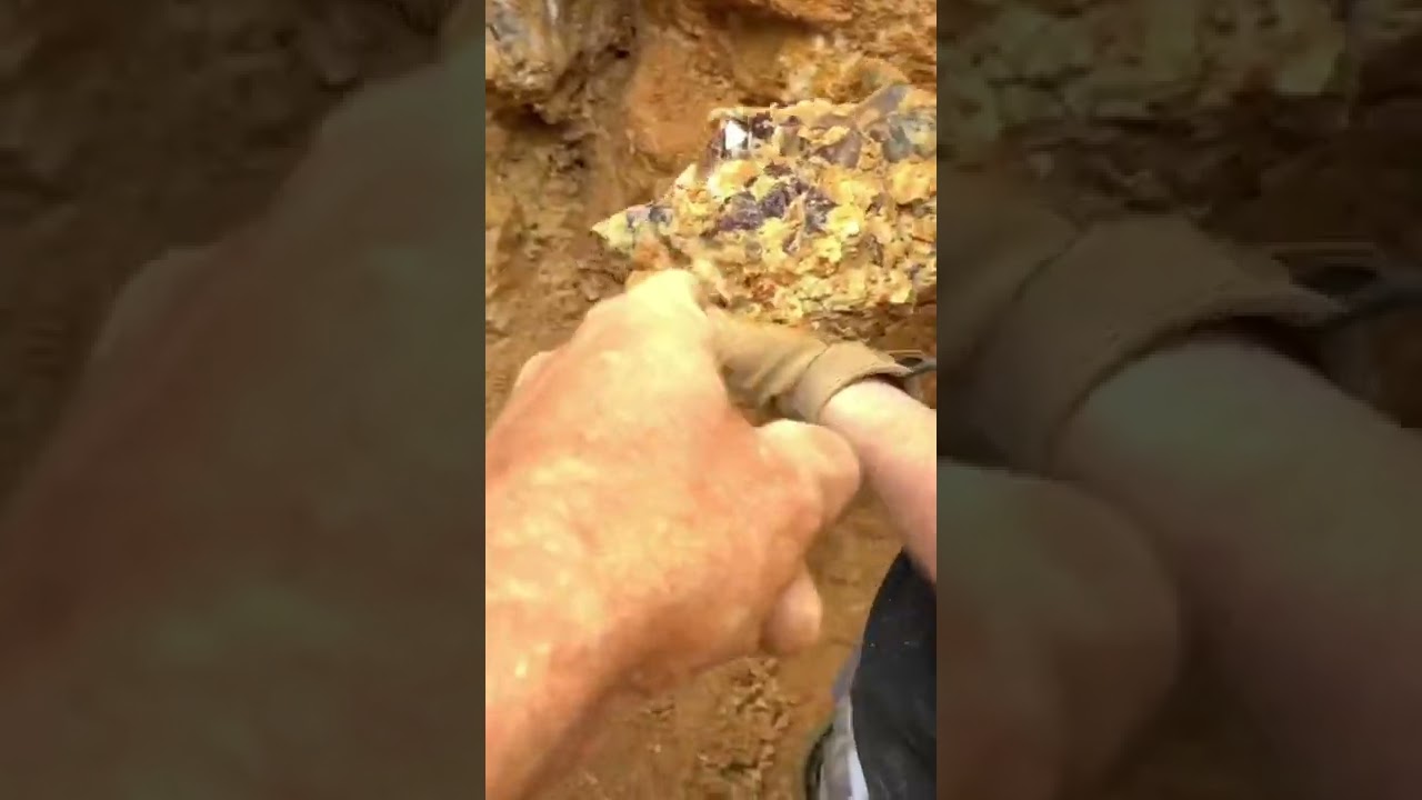 Logan Paul pulls out an insane Amethyst cluster at my private location in South Carolina!