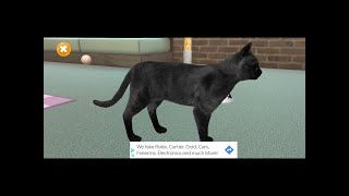 My Talking Mumbai Cat App #1 (Part 1) screenshot 3
