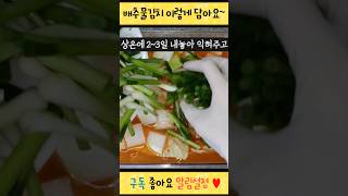 입맛 확 돋궈주는 물김치 지금 담아서 얼른 드세요! #shorts #food #recipe