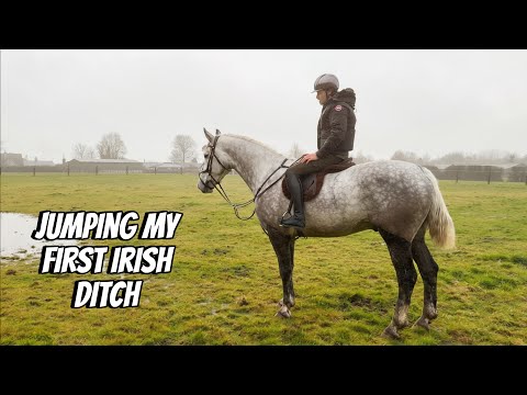 I Flew to Ireland to Go Horse Shopping for a Hunter Part 2 thumbnail