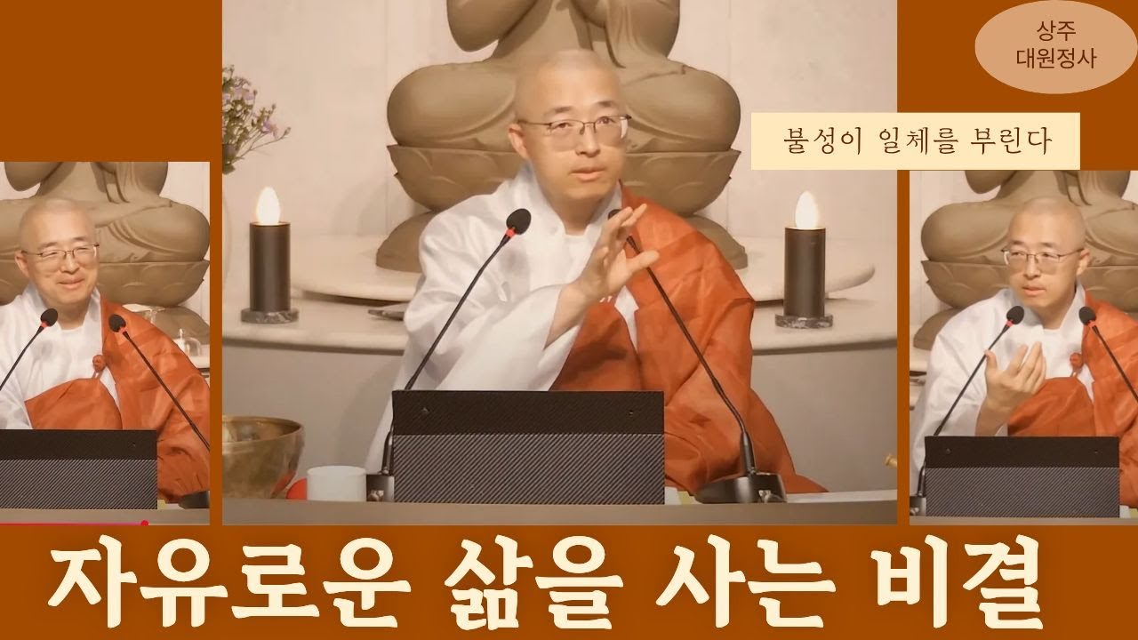 [125] 자유로운 삶을 사는 비결, 편재하는 불성이 일체를 부린다, 무위의 유익함 #도덕경43장