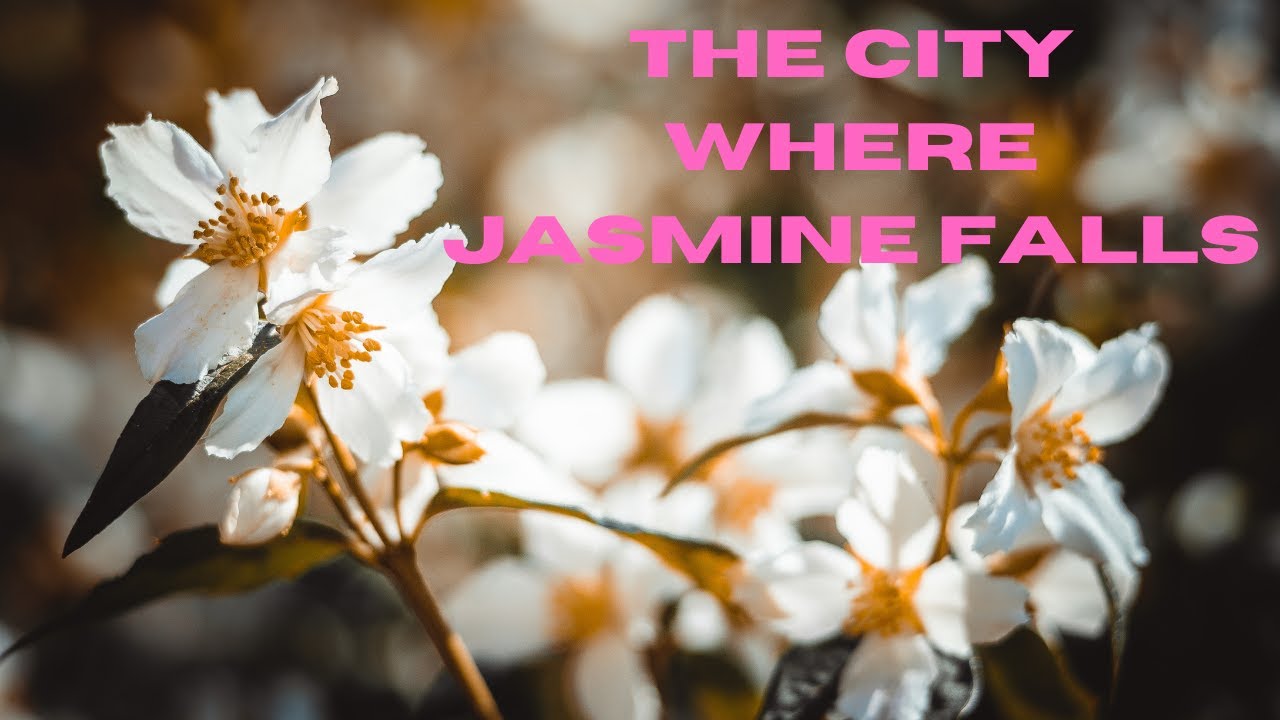 Jasmine City and the seven historic gates...Damascus