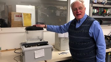 Remote Monitoring with a Red Lion Cell Modem