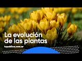 Cuando las primaveras comenzaron a tener flores - La Liga de la Ciencia (Temporada 7)