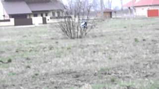 Copterx cx 450pro TT 04