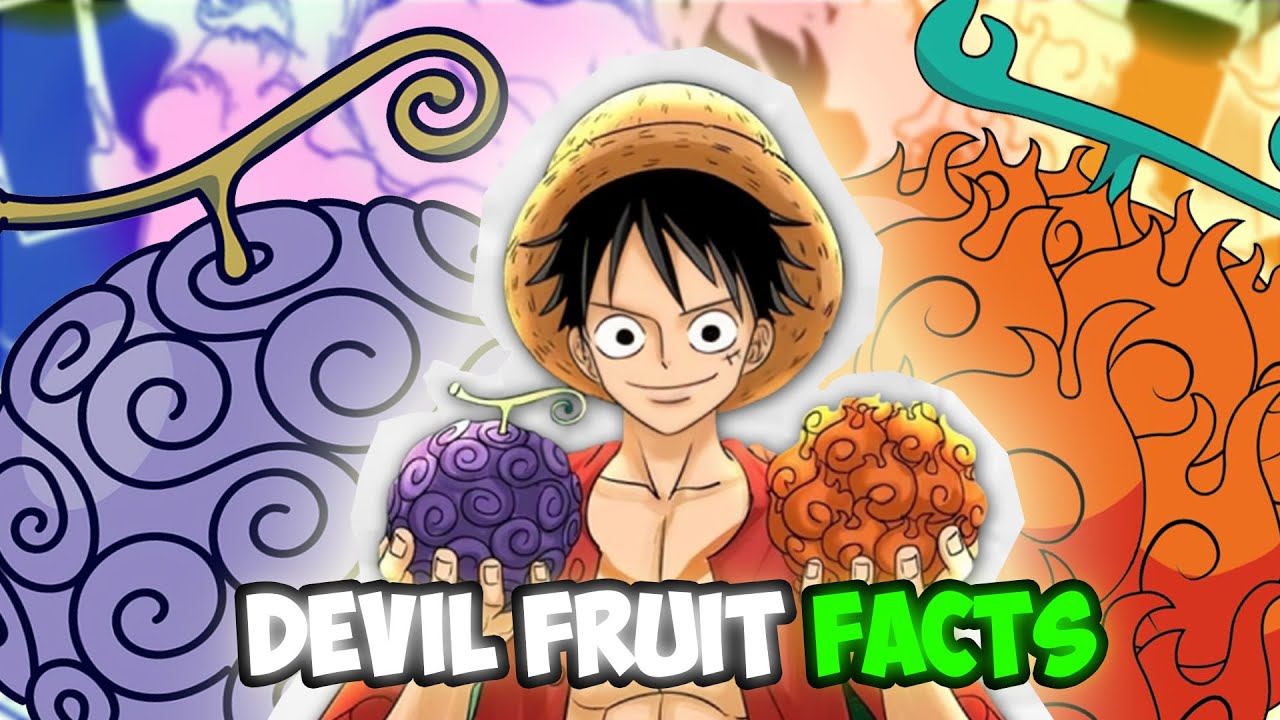 Crazy Devil Fruit Facts That You don't Know