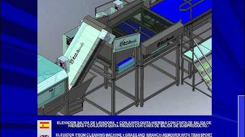 AFSATEC CARROT GRADING PACKING LINE