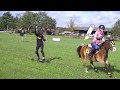 Horseboarding Holland: Sportsman 2019: Henoch