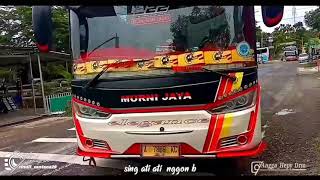 Yowes dada sayang | story wa terbaru 30 detik | story wa | story wa lagu jawa | murni jaya | e222