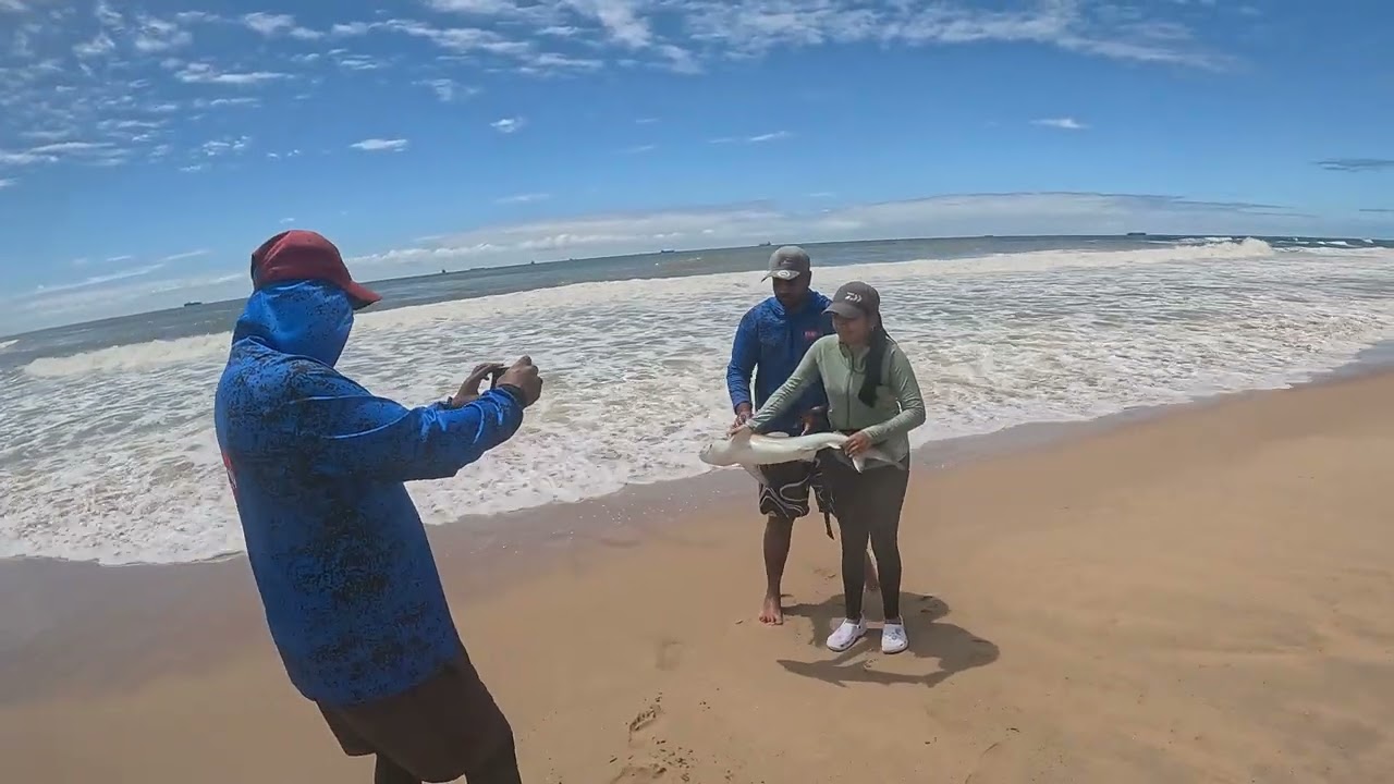Fishing Durban Part 1 (Guiding a Frenzy)
