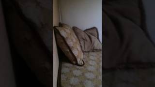 IMG 0962 IMG 0962