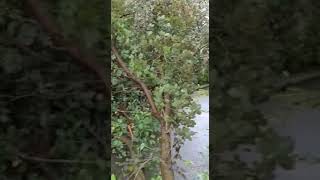 stromschäden Zürich 2021