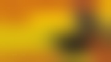 Power Of The Primes Titan Class Predacon Divebomb - Predaking Review, Part II