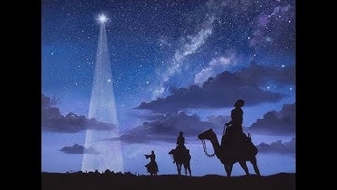 Scum Bugs: Wrong  coding