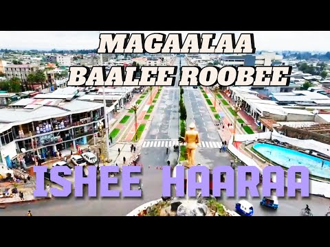 Magaalaa Baalee Roobee Ishee Haaraa Habibii Come To Baalee Roobee