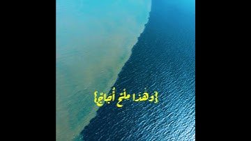الشيخ ياسر الدوسري روائع عام ١٤٣١هـ ما تيسر من سورة فاطر