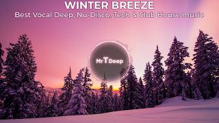 Download Lagu Winter Breeze - Best Vocal Deep, Nu Disco, Tech \u0026 Club House music MP3