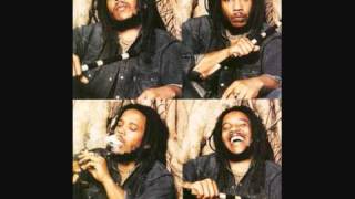 Stephen Marley   Jah Bless   