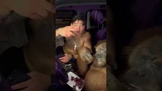 RYAN GARCÍA con un ORANGUTÁN RAPENADO y comiendo UVAS en un COCHE