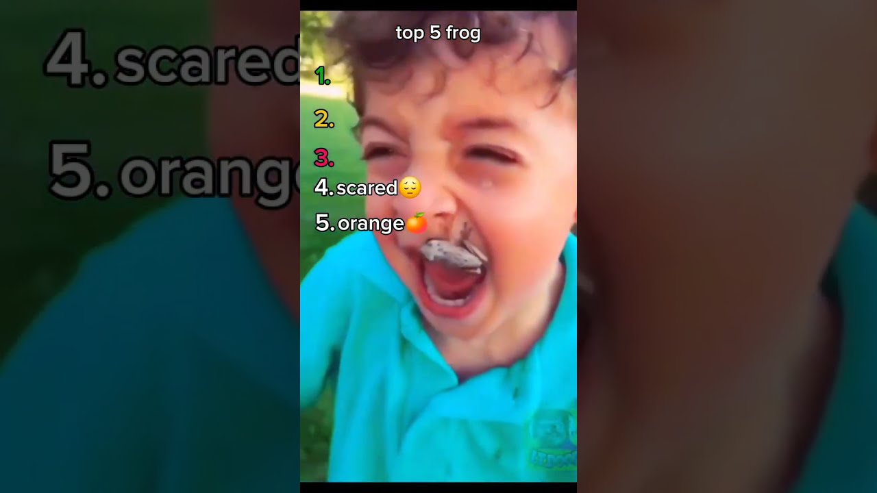 Top 5 Frogs Funnyvideo Top5