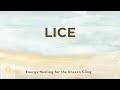 Lice | The Unseen Cling | Clearing Energies That Attach Without Welcome