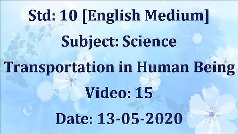 Std10 Science "Transportation in Human Being" Video: 15 Date: 13-05-2020