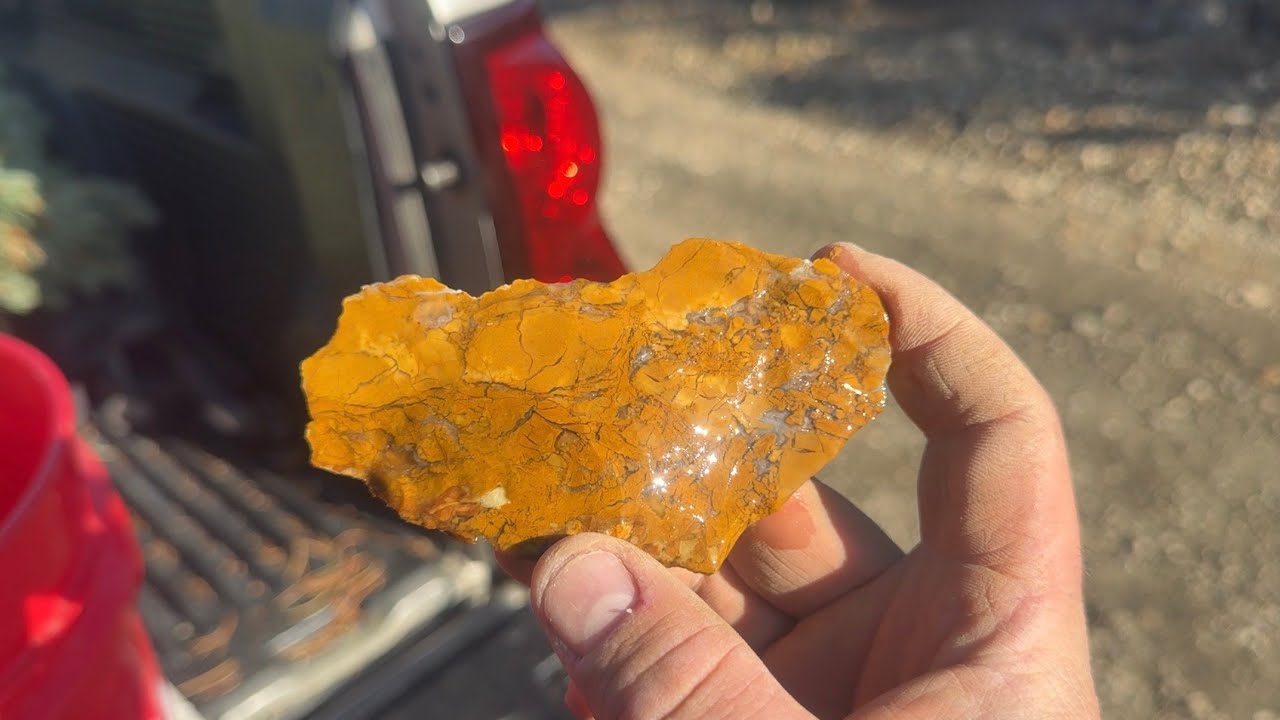 В поисках золотистого мохового агата в Юте!