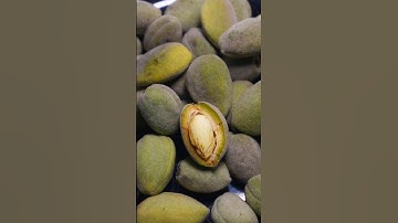 Videography work done for Swiggy Instamart #videography #shorts