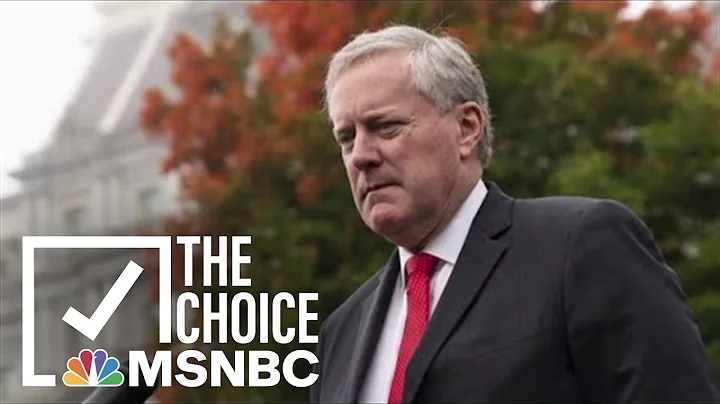Joyce White Vance Undercuts Mark Meadows Privilege...