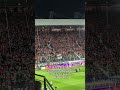 #kibice #widzew #łodź #wisłakraków #białagwiazda #widzewłódź #piłkanożna #mecz #widzewłódź