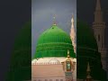 Tu Hi Khuda Ka chehra Hai maula short status #zahoorabirjis