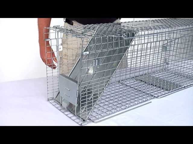 How to Set: Havahart® Feral Cat Trap Model #1099 