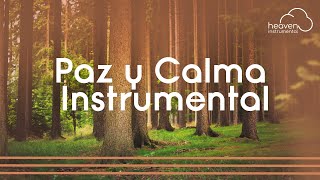 🙏🏼🙇🏻‍♂️Tiempo Con Dios / Música Instrumental / Instrumental Worship 🙇🏻‍♂️🙏🏼 by Heaven Instrumental 1,063 views 1 month ago 1 hour, 27 minutes