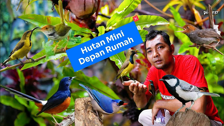 AVIARY KECIL TAPI SERASA DI DALAM HUTAN.!(AVIARY BIRDS INDONESIA.