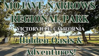 Explore Mojave Narrows: Year-Round Fun & Hidden Desert Gems | Victorville, California |