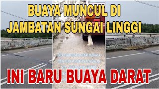 VIRAL SEEKOR BUAYA NAIK KE JAMBATAN SUNGAI LINGGI NEGERI SEMBILAN