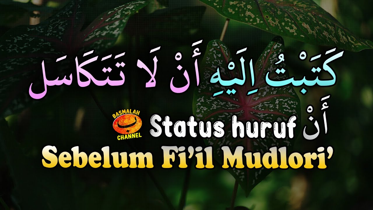 BELAJAR NAHWU - SHORROF : Status Huruf AN ( أن ) Sebelum Fi'il Mudlori' (kaidah nahwu)