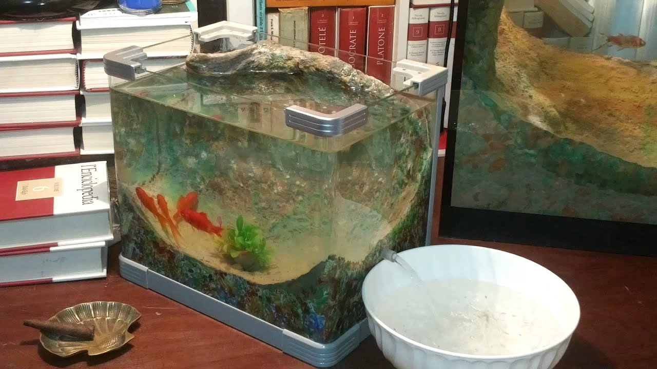 NOCLEAN AQUARIUM BY TOTO' DE YouTube