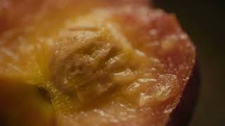 Hot Docs 2022 Trailer: HER SCENT OF PU ER