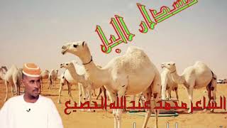 الشاعر / محمد عبدالله الجضيع (مسدار جقله)