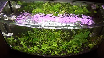 Co je ppm v atmosféře?