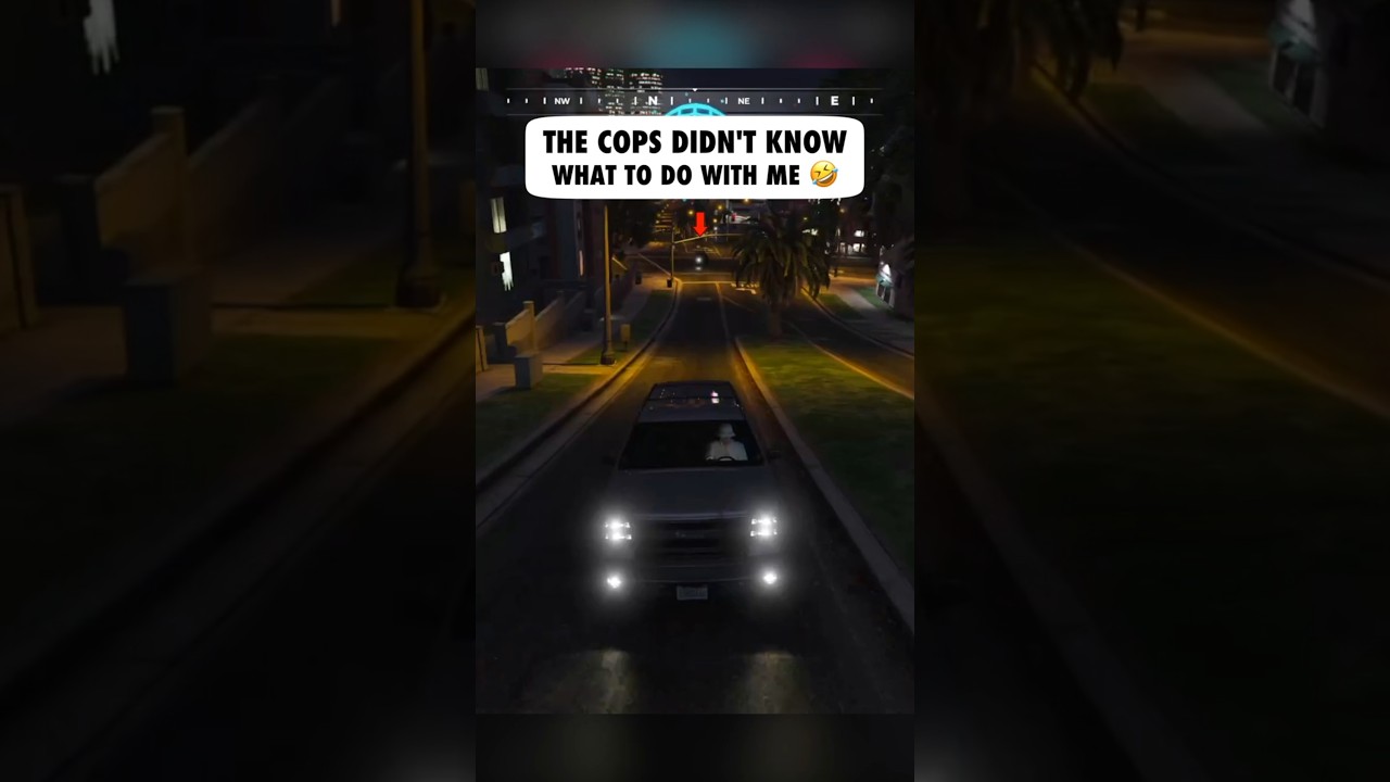 The COPS Didn't Know What To Do With Me (GTA 5 RP)