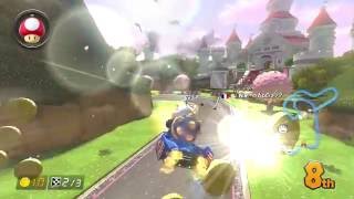 fly.mp4
