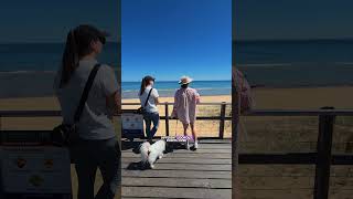 Melbourne's Coastal Walk through a nature reserve