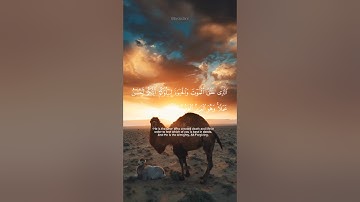 Read and reflect. سورة الملك #quranic #quran #islam #allah #quranquotes #quranverses