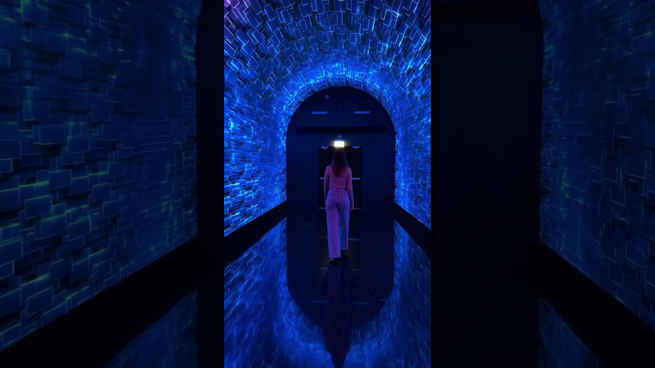 Иммерсивная арт-выставка Luminar-X на ВДНХ… Погружение в виртуальный мир