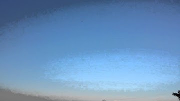 Align Trex 450 Plus DFC My First Loops and Crash