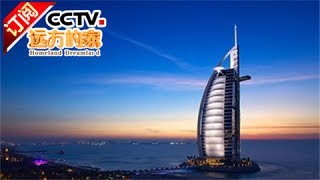 [Homeland Dreamland] 20170529 | CCTV-4